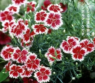 社会福祉法人 恩賜財団 済生会 龍ケ崎済生会病院の写真