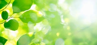 社会福祉法人天童会 秋津療育園の写真