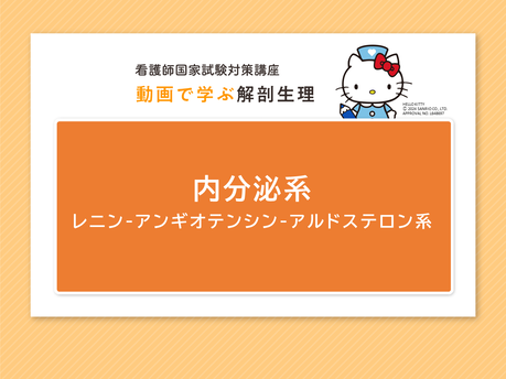 【看護師国家試験対策】解剖生理学に強くなる動画講座 看護師国試に役立つ】解剖生理を動画で学ぼう