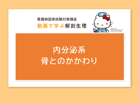 看護師国試に役立つ】解剖生理を動画で学ぼう