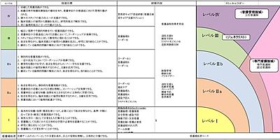 東邦大学医療センター佐倉病院 東邦大学 看護クリニカルラダーと教育プログラムの連動