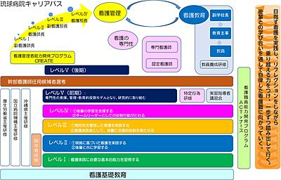 国立病院機構  琉球病院 琉球病院教育体制図