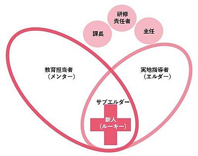 白十字病院 看護部新人教育体制組織図