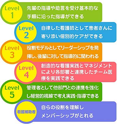 渡辺病院 クリニカルラダーについて