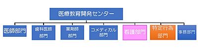 長崎大学病院 看護キャリア支援室の活動