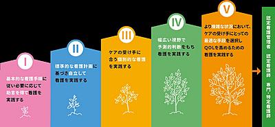 川西市立総合医療センター 法人看護部クリニカルラダー