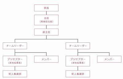 愛染橋病院 各部署の教育体制（屋根瓦方式）