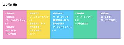 湘南大磯病院 主な院内研修