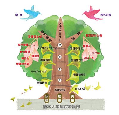熊本大学病院 クリニカルラダーシステム