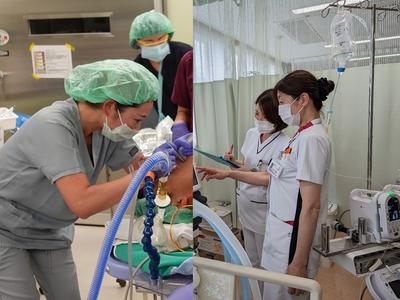 東京労災病院   認定看護師・専門看護師による教育支援