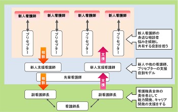 独立行政法人国立病院機構 中国四国グループ22病院 看護単位における新人看護師の支援体制