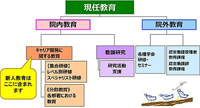 中電病院 教育体制