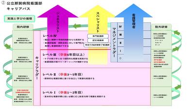 公立那賀病院 キャリアパス
