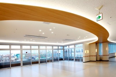 圏央所沢病院 クリティカルラダー