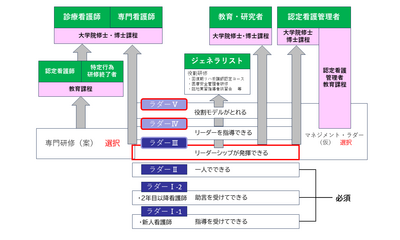 みどり野リハビリテーション病院 キャリア概念図