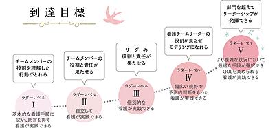 清恵会病院・清恵会三宝病院 クリニカルラダー制度