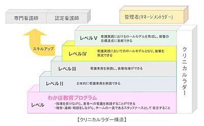 公立大学法人大阪　大阪公立大学医学部附属病院 クリニカルラダー