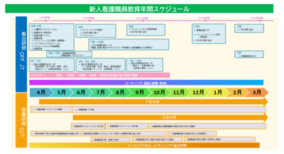札幌厚生病院 新人看護職員年間スケジュール