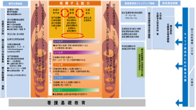 国立ハンセン病療養所 看護職員の能力開発体系図