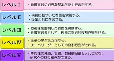 国立病院機構  菊池病院 ラダー研修