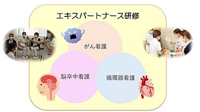 国立病院機構  鹿児島医療センター 当院独自のエキスパートナース研修