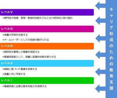 名古屋医療センター キャリアラダー