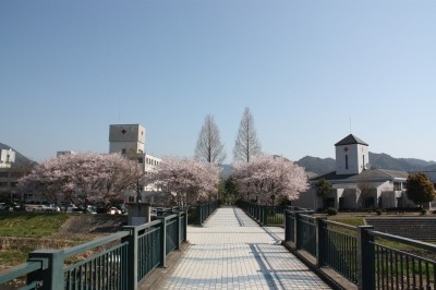 多可赤十字病院