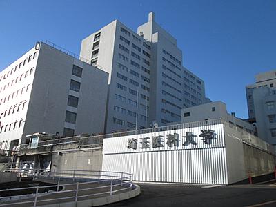 埼玉医科大学病院