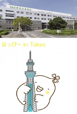 東京都立東部地域病院