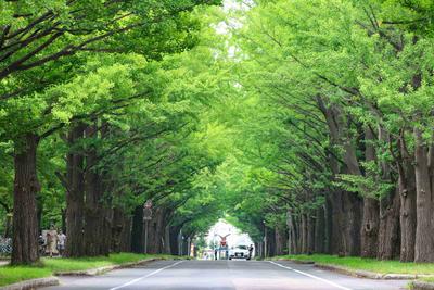 国立大学法人　北海道大学　北海道大学病院