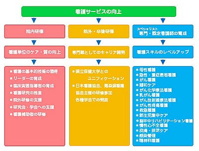 青森県立中央病院（青森県病院局） 新人教育