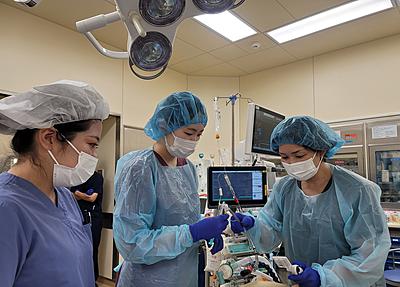 大崎病院東京ハートセンター 新人教育