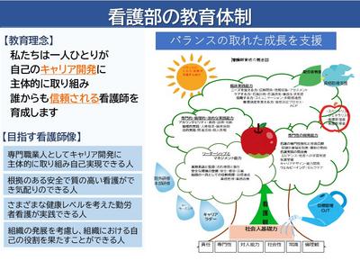 東京労災病院   新人教育