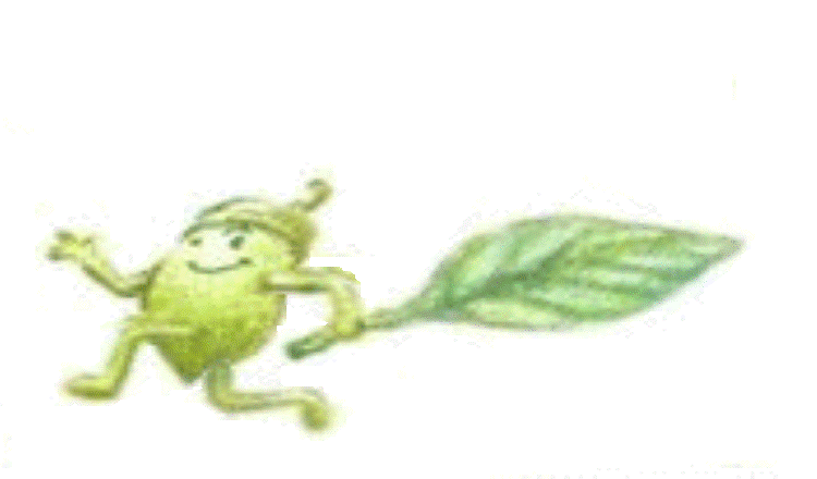 あいちの県立病院 S.Mさん