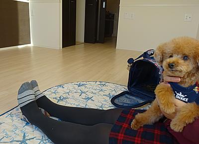 亀田クリニック 福利厚生2