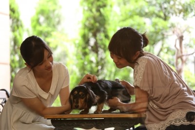 千葉西総合病院 福利厚生3