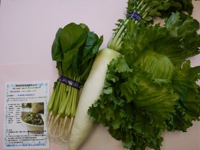 JA神奈川県厚生連　伊勢原協同病院 福利厚生3