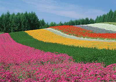 北海道社会事業協会（函館・小樽・余市・岩内・帯広・富良野・洞爺） 富良野病院