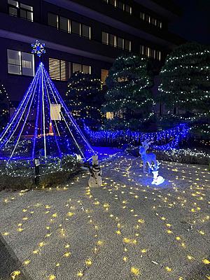 三菱京都病院 クリスマスイルミネーション