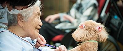 広畑センチュリー病院 アニマルセラピー