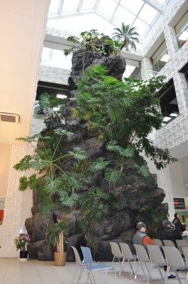 江戸川病院 私の一日1