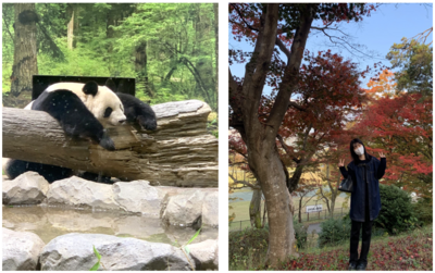 新潟医療センター（JA新潟厚生連） 私の一日3