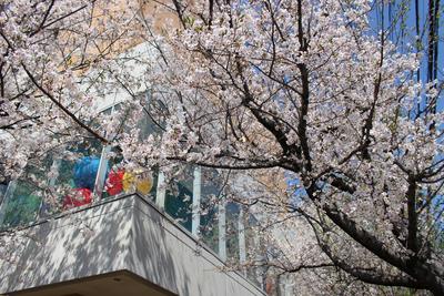 医療法人社団明芳会　イムス板橋リハビリテーション病院 日常風景3