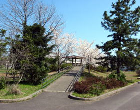 国立病院機構 石川病院 日常風景1