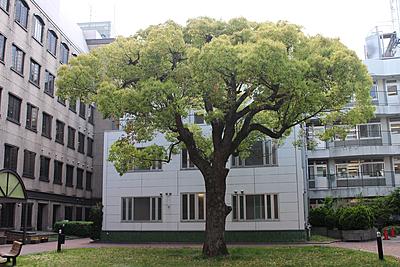 さわ病院 日常風景1