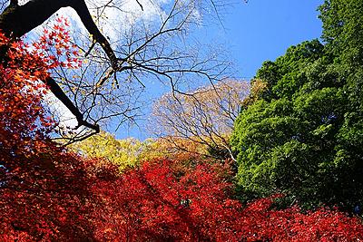 駒木野病院 日常風景3