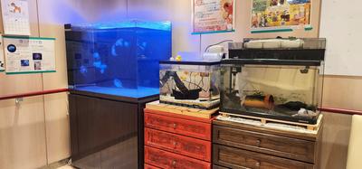 江戸川病院 日常風景2