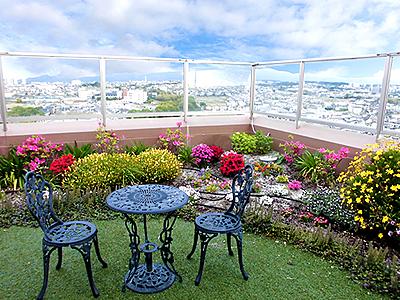 ベルランド総合病院 日常風景2