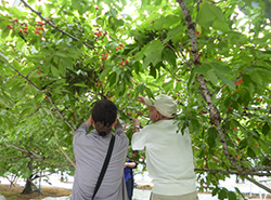 福寿会グループ　西新井病院 日常風景2