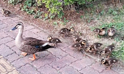 国立病院機構 西埼玉中央病院 日常風景1